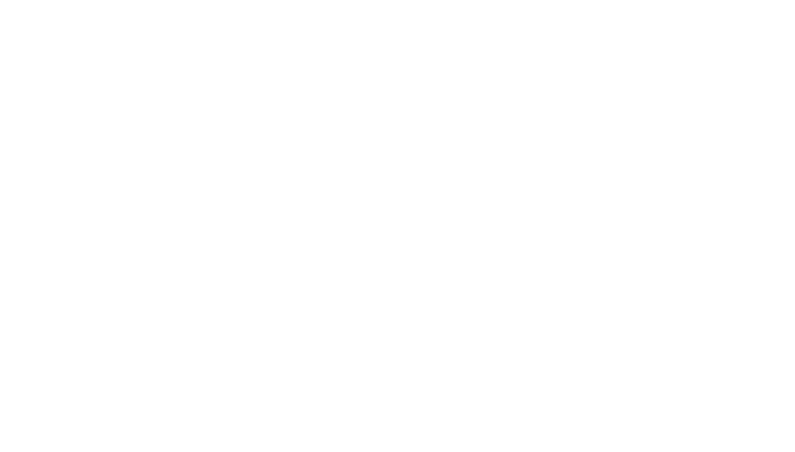 Febus optics