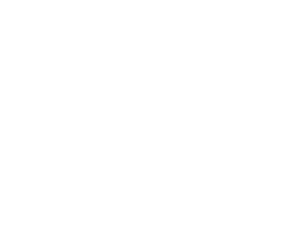 U.S.Air Force