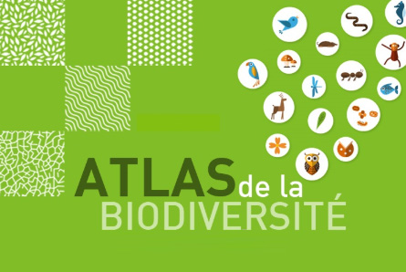 Biodiversité